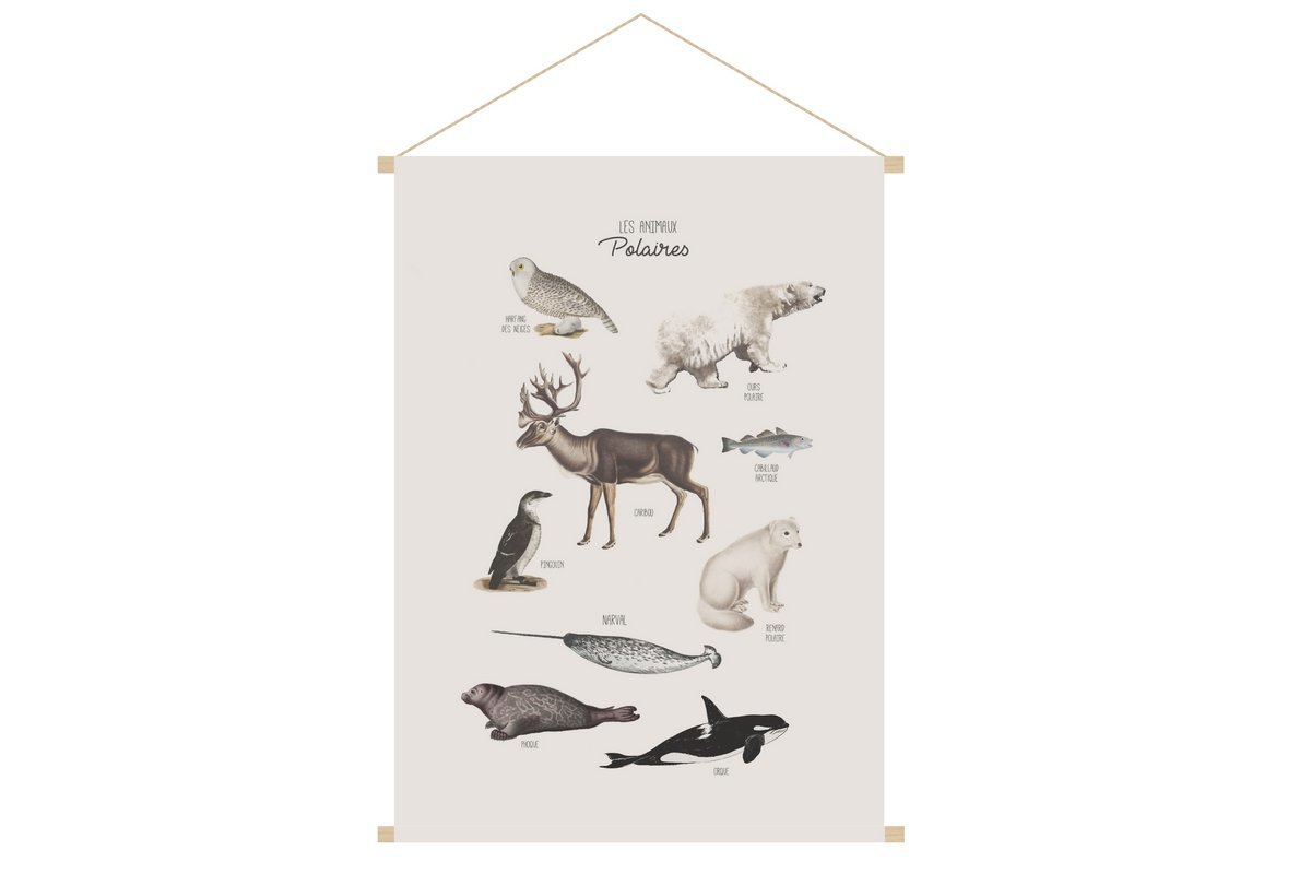 Kakemono enfant tableau en toile suspendue illustration animaux polaires L40 x H60 cm POLAR