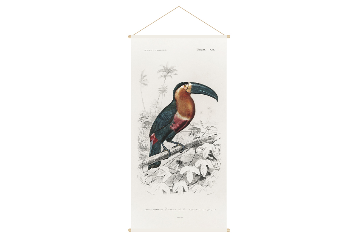 Kakemono toucan L65 x L130 cm TOUCAN