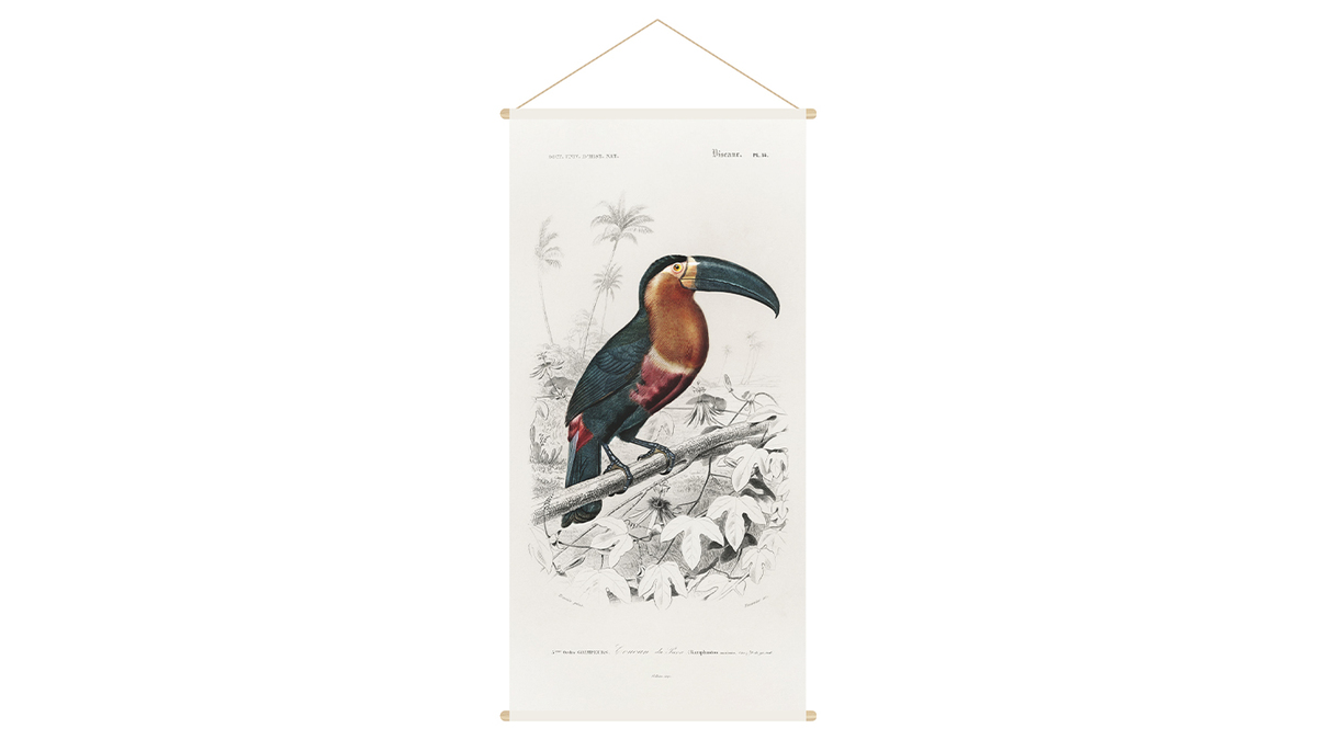 Kakemono toucan L65 x L130 cm TOUCAN